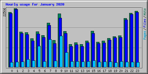 Hourly usage for January 2020